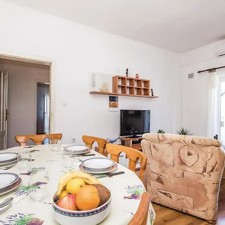 Apartment Pet Friendly In With Kitchen