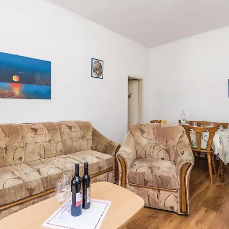 Apartment Pet Friendly In With Kitchen *